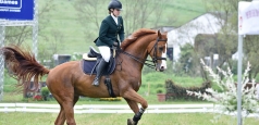 Românii au câștigat mai multe medalii de aur la Transylvania Horse Show