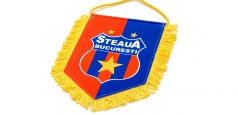 Brandul "Steaua București", evaluat la 57 milioane de euro